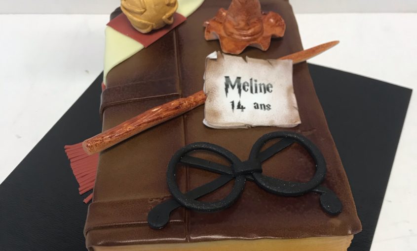 Gateau Livre Harry Potter L Atelier De Dorothee